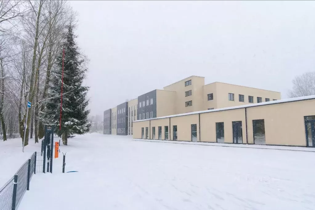 Офис в Санкт-Петербург, Санкт-Петербург, Ломоносов Манежная ул., 5 (17 ... - Фото 2