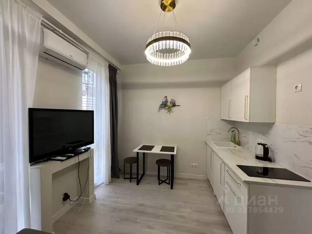 1-к кв. Краснодарский край, Сочи ул. Ленина, 298В (39.0 м) - Фото 1