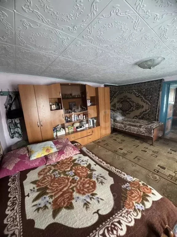 Дом в Алтай, Майминский район, с. Майма Кедровый пер., 3 (32 м) - Фото 1