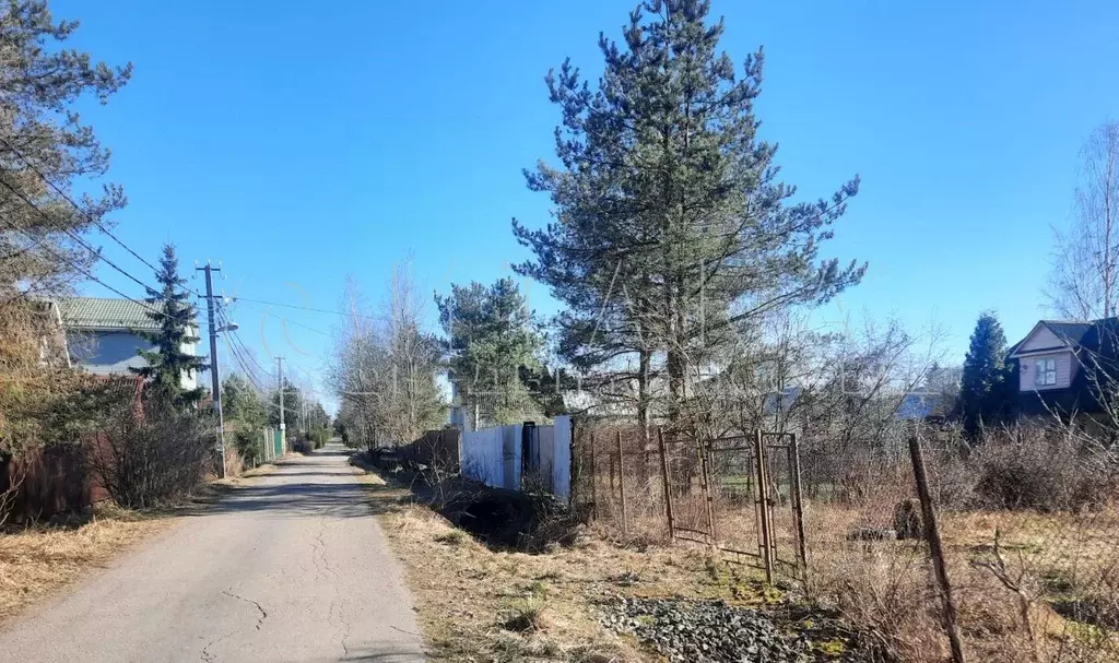 Участок в Ленинградская область, Гатчинский муниципальный округ, Тайцы ... - Фото 2