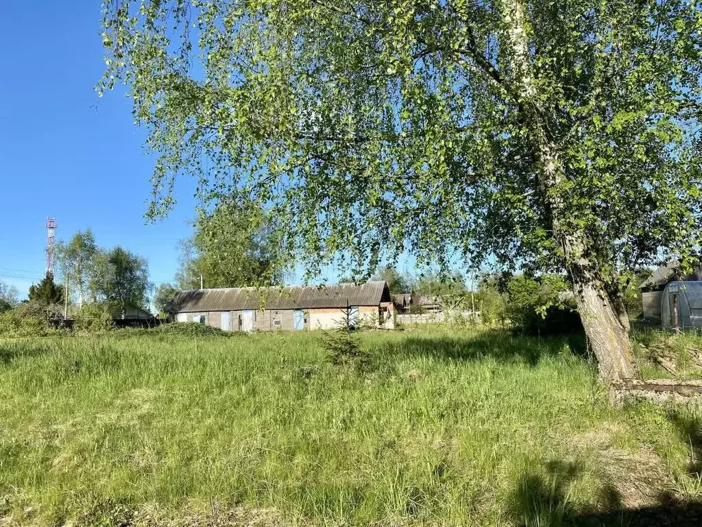 Участок в Смоленская область, Смоленский муниципальный округ, д. ... - Фото 1