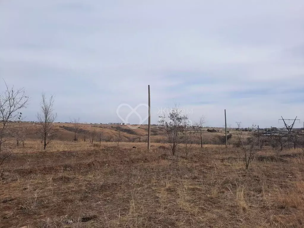 Участок в Волгоградская область, Городищенский район, Царицынское ... - Фото 2