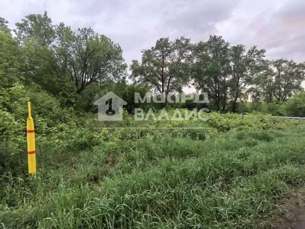 Участок в Омская область, Омск пос. Степной,  (13.0 сот.) - Фото 1