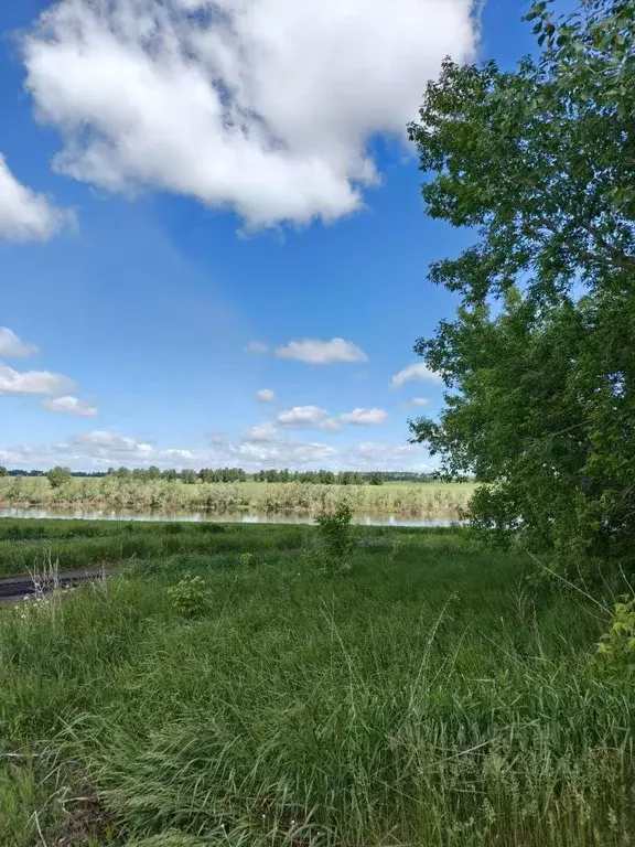 Участок в Алтайский край, Барнаул Пригородное СНТ,  (7.5 сот.) - Фото 0