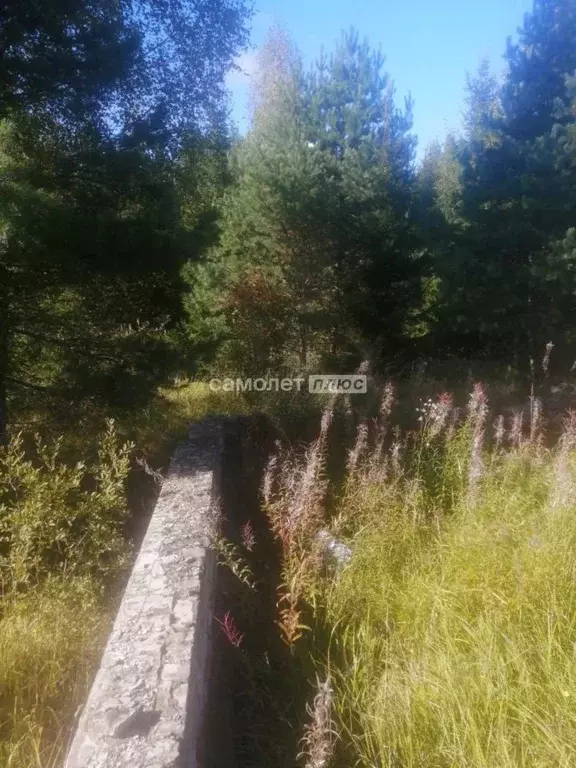 Участок в Владимирская область, Кольчугинский муниципальный округ, ... - Фото 2