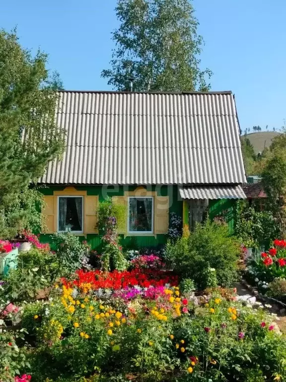 Дом в Забайкальский край, Читинский район, Колос садоводческое ... - Фото 1