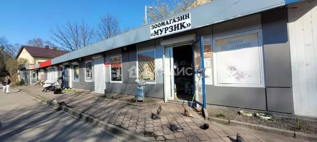 Торговая площадь в Калининградская область, Калининград Беговая ул., 1 ... - Фото 0
