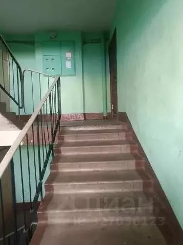 2-к кв. Ленинградская область, Лужский район, пос. Дзержинского ... - Фото 2