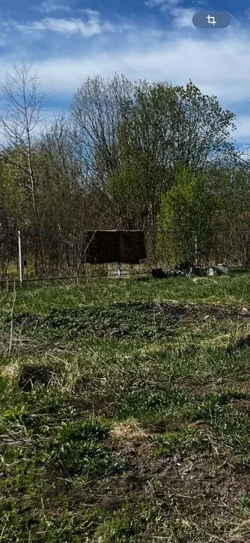 Участок в Марий Эл, Медведевский район, Люльпанское с/пос, д. Люльпаны ... - Фото 1