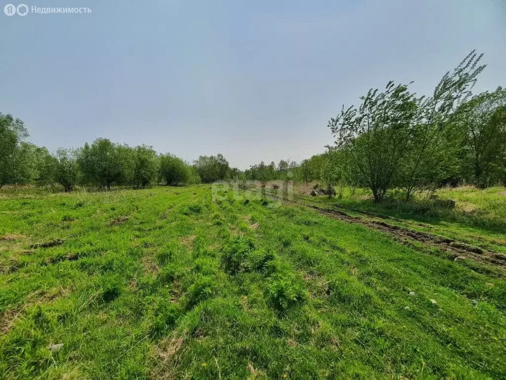 Участок в Камчатский край, Елизовский муниципальный округ, посёлок ... - Фото 1