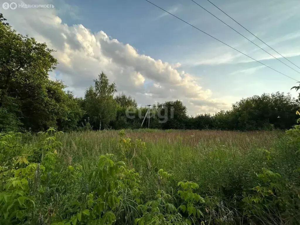 Участок в Московская область, городской округ Воскресенск, село ... - Фото 1