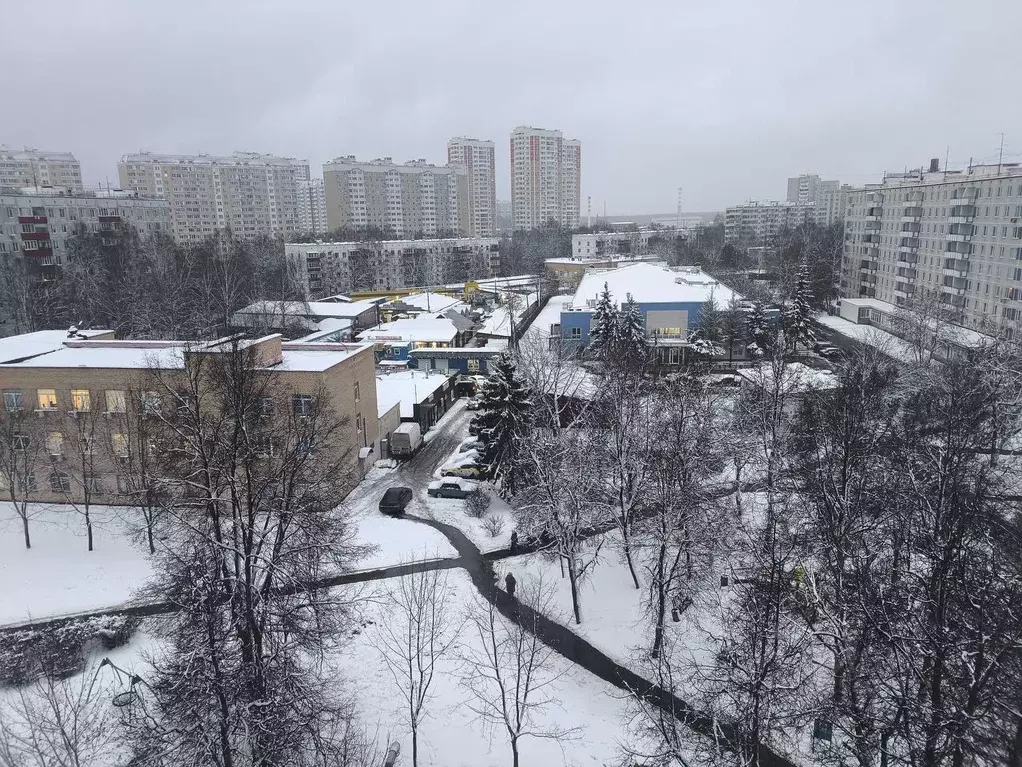 3-к кв. Москва, Москва, Московский г. 1-й мкр, 24 (70.0 м) - Фото 1