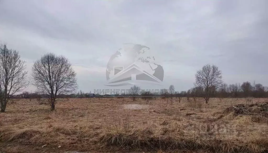 Участок в Новгородская область, Новгородский район, Ермолинское с/пос, ... - Фото 1