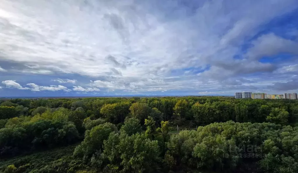 1-к кв. Краснодарский край, Краснодар ул. Имени Снесарева, 17/1к2 ... - Фото 1