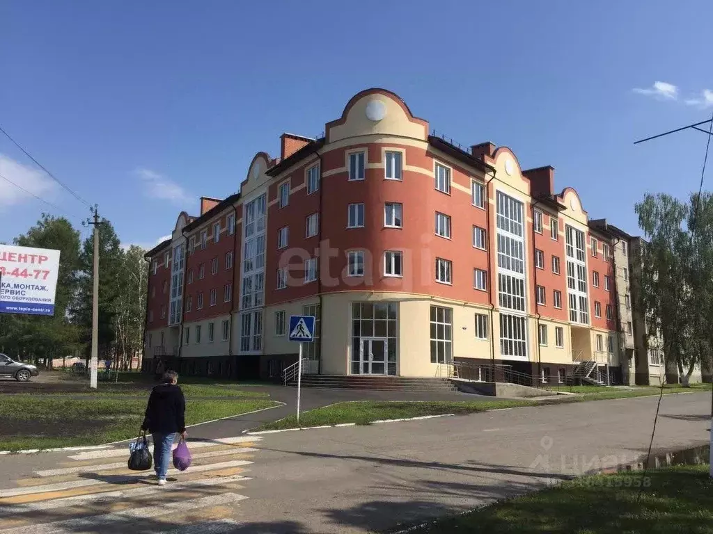 Помещение свободного назначения в Мордовия, Чамзинка пгт ул. ... - Фото 0
