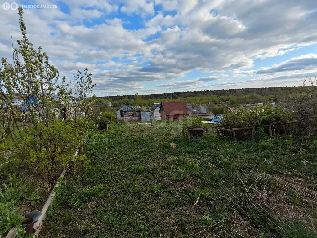 Участок в Чернушка, СТ Строитель-2 (36.5 м) - Фото 1