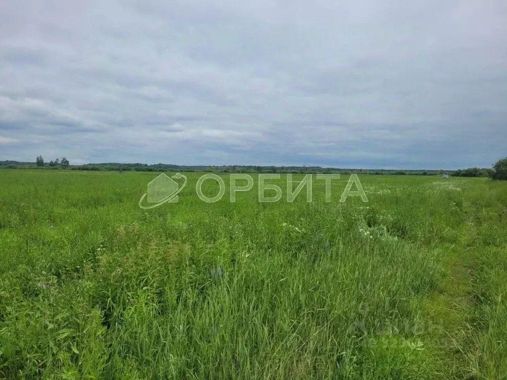 Участок в Тюменская область, Тюменский муниципальный округ, с. Успенка ... - Фото 2