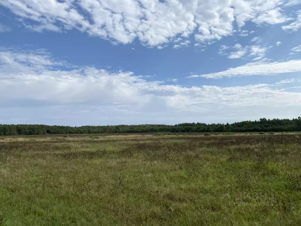 участок в московская область, можайский городской округ, можайские . - Фото 0