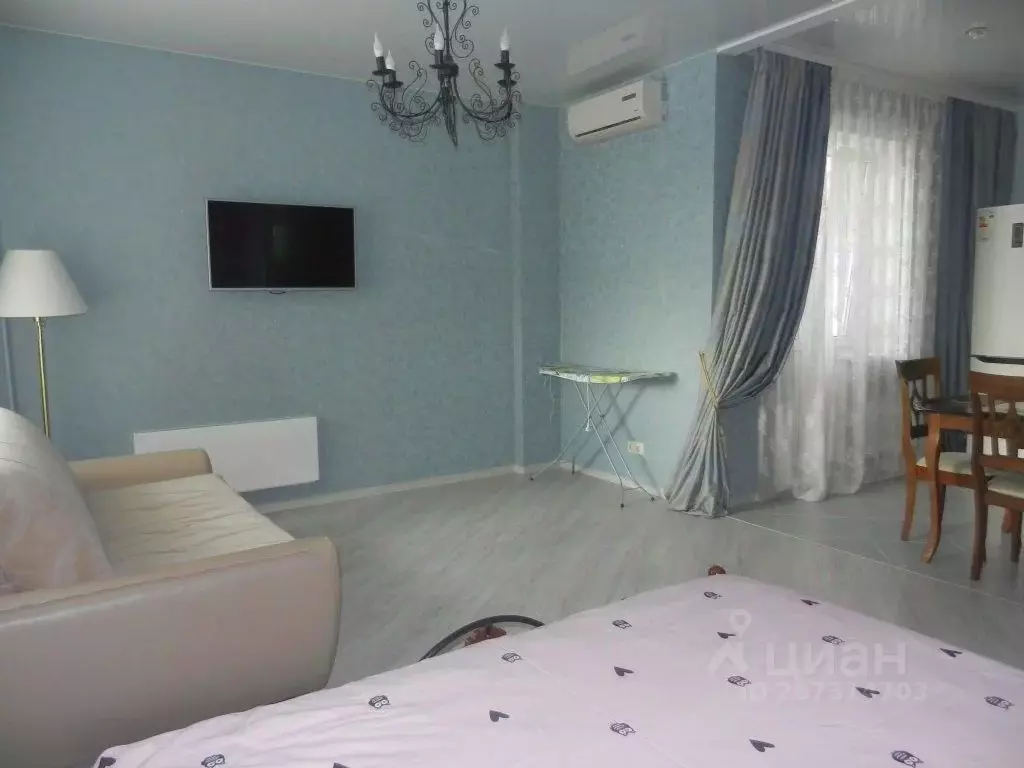 1-к кв. Воронежская область, Воронеж ул. Революции 1905 года, 31Д ... - Фото 2