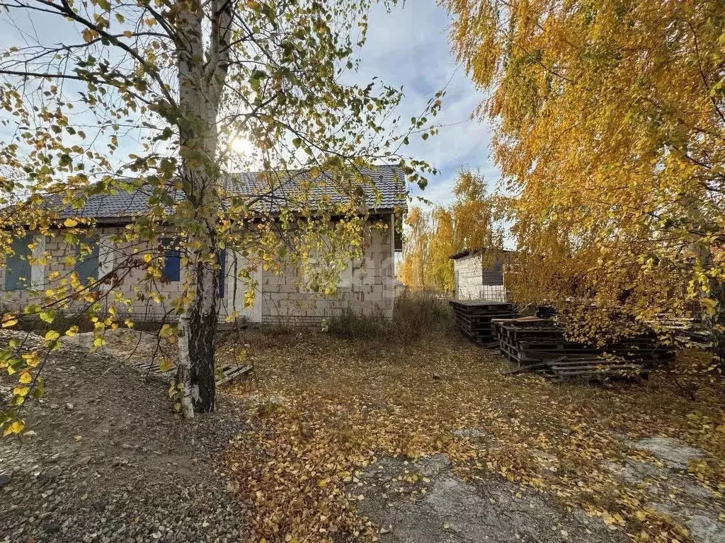 Участок в Липецкая область, Грязинский район, Казинский сельсовет, с. ... - Фото 1