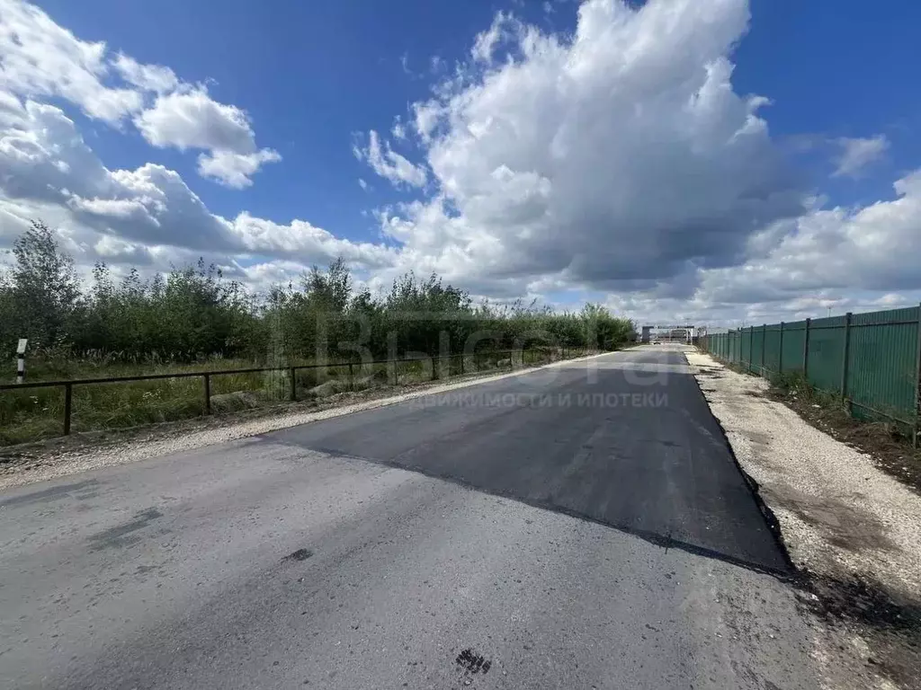 Участок в Воронежская область, Рамонский район, Новоживотинновское ... - Фото 2