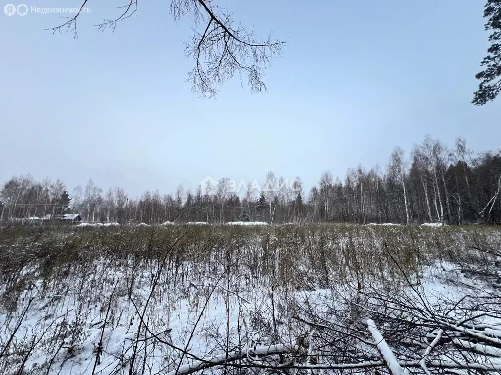 Участок в Московская область, городской округ Коломна, село Северское ... - Фото 0