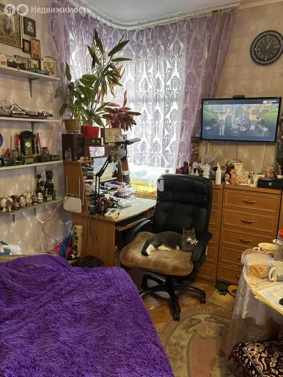 1к в 2-комнатной квартире (15.2 м) - Фото 2