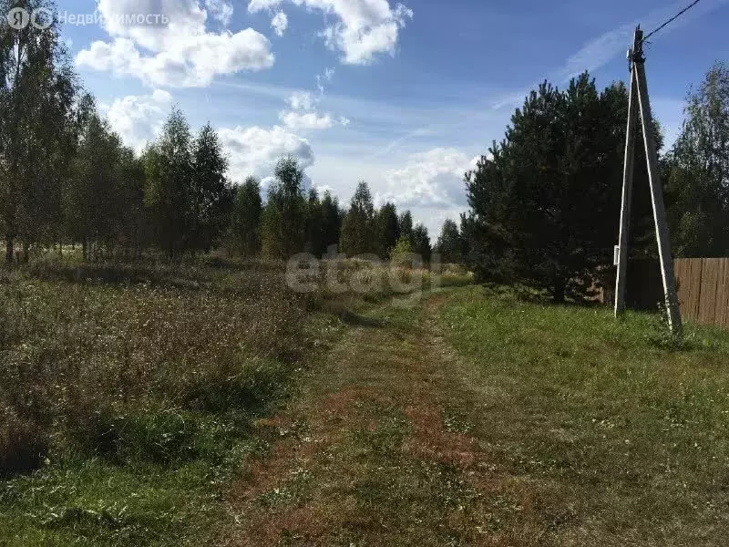 Участок в Ярославский муниципальный округ, село Еремеевское (8 м) - Фото 2
