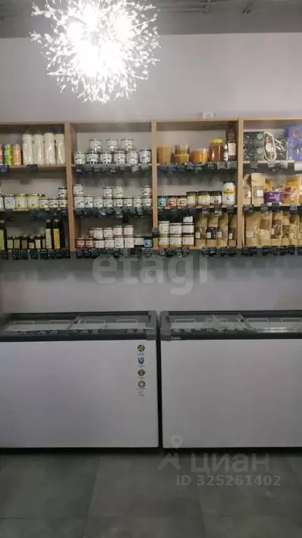 Торговая площадь в Пермский край, Пермь ул. Советской Армии, 82 (32 м) - Фото 2