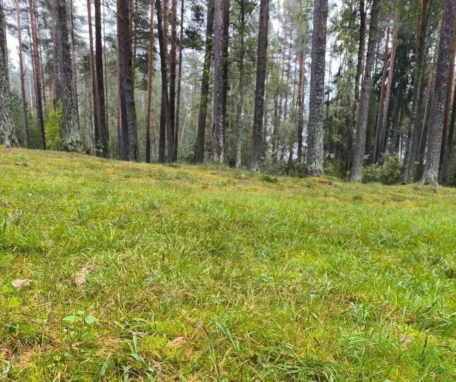 Участок в Ленинградская область, Подпорожский район, Винницкое с/пос, ... - Фото 2