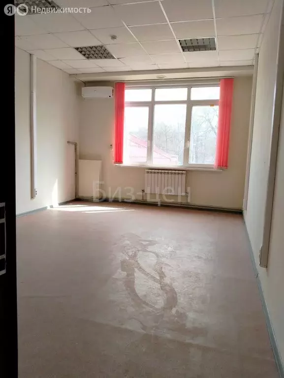 Офис (24.3 м) - Фото 2