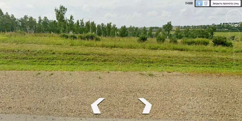 Участок в Иркутская область, Заларинский муниципальный округ Р-255 ... - Фото 1