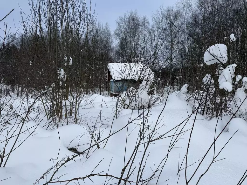 Участок в Владимирская область, Александровский муниципальный округ, ... - Фото 1