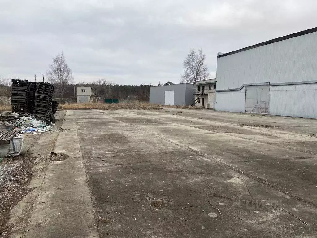 Производственное помещение в Курская область, Курский район, ... - Фото 1