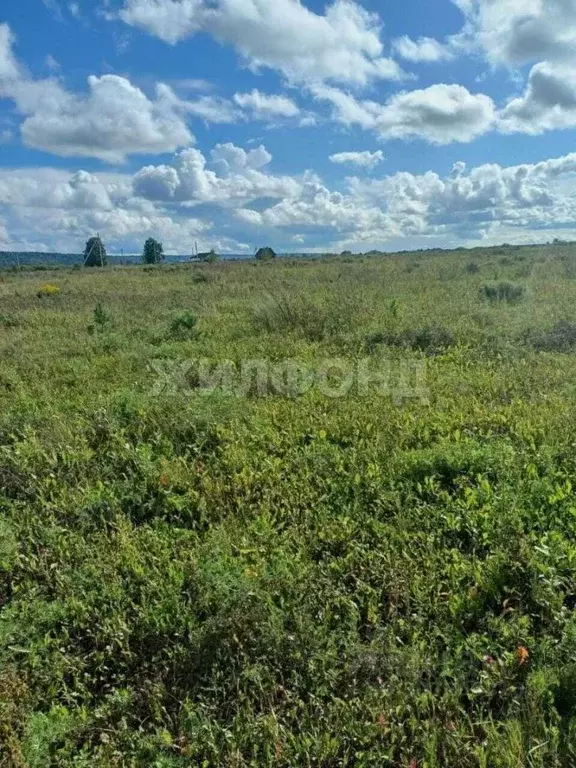Участок в Томская область, Томский район, Стрижи СНТ ул. Магистральная ... - Фото 1