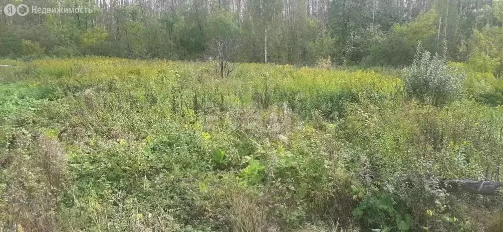 Участок в Новокузнецк, посёлок Телеуты, переулок Мечта (14.9 м) - Фото 1