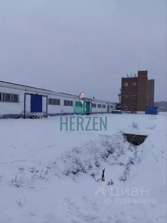 Производственное помещение в Московская область, Раменский ... - Фото 1