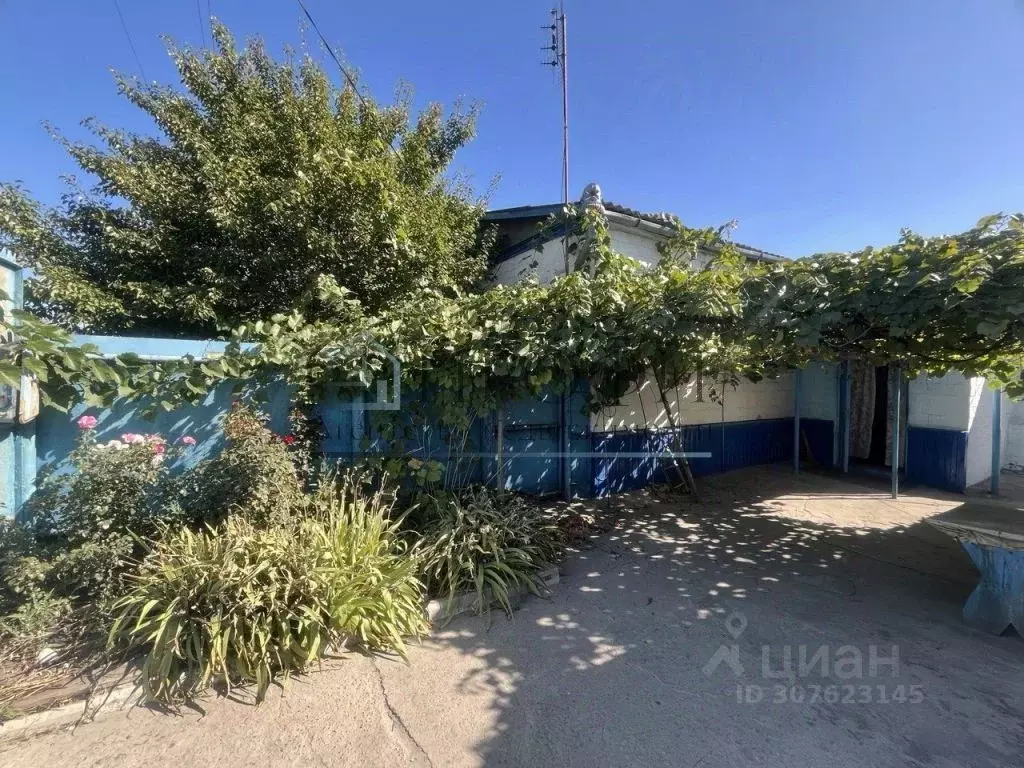 Дом в Белгородская область, Поселок Чернянка городское поселение, ... - Фото 1