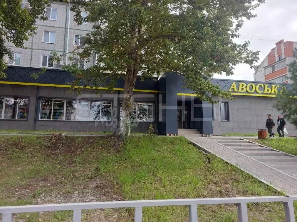 1-к кв. Амурская область, Благовещенск Тепличная ул., 18/1 (44.0 м) - Фото 2