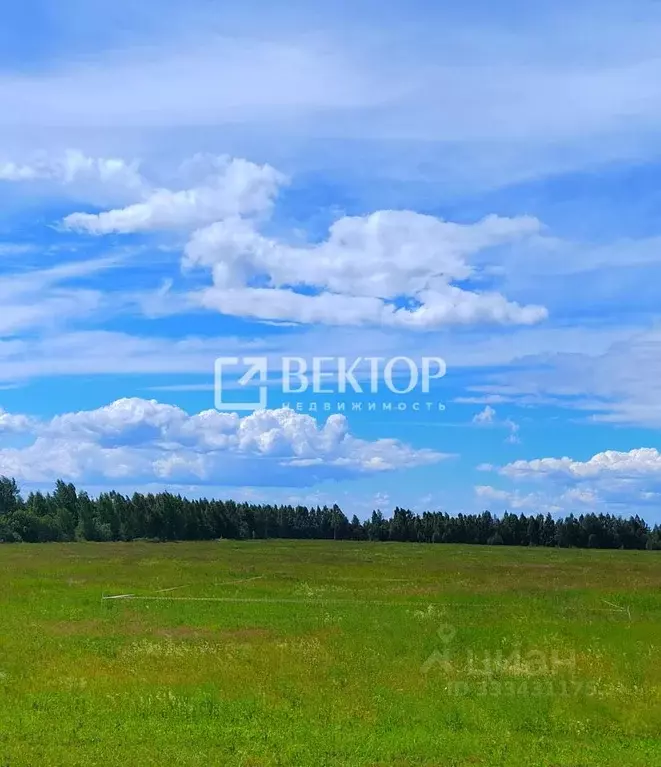 Участок в Костромская область, Кострома Цветочная ул. (8.0 сот.) - Фото 1