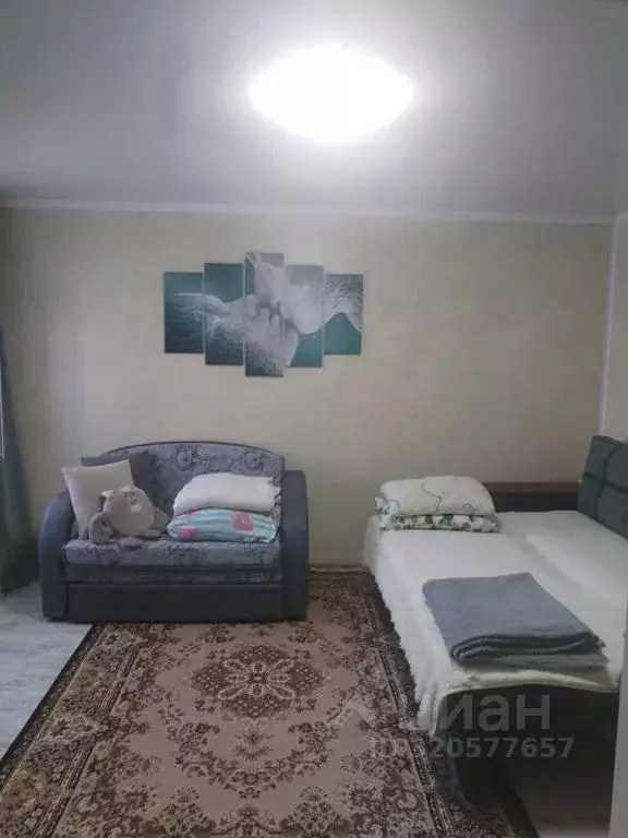 Дом в Воронежская область, Богучар ул. Мира, 47 (30 м) - Фото 1