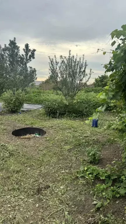 Участок в Оренбургская область, Орск № 6 Онос СНП, ул. Кедровая (9.8 ... - Фото 1