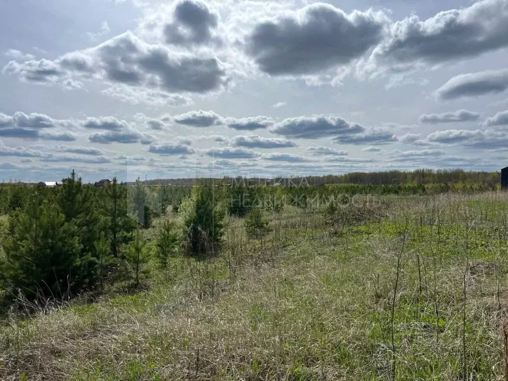 Участок в Тюменская область, Тюменский район, с. Кулига, Кулига-2 мкр  ... - Фото 1