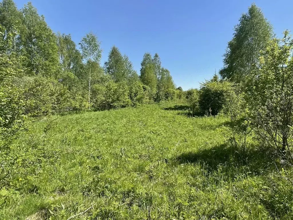 Участок в Владимирская область, Судогодский район, Головинское ... - Фото 1