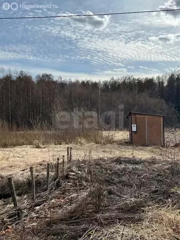 Участок в Медведевский район, Шойбулакское сельское поселение, деревня ... - Фото 1