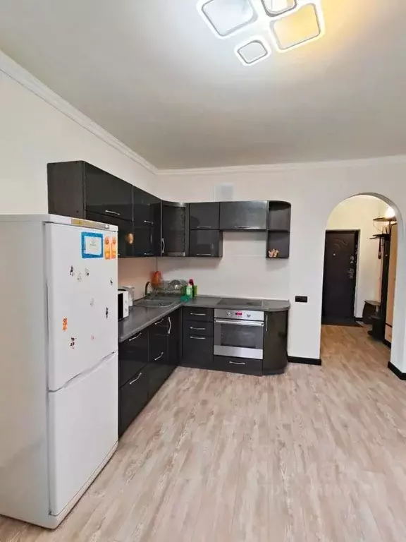 1-к кв. Новосибирская область, Новосибирск ул. Фрунзе, 230 (42.0 м) - Фото 0