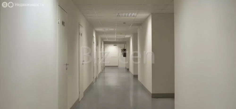 Офис (79.8 м) - Фото 1
