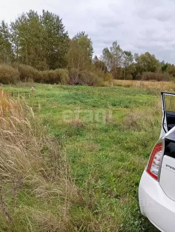 Участок в Калининградская область, Светловский городской округ, пос. ... - Фото 0