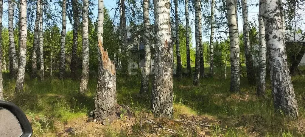 Участок в Ульяновский район, рабочий посёлок Ишеевка, Новая улица (10 ... - Фото 0