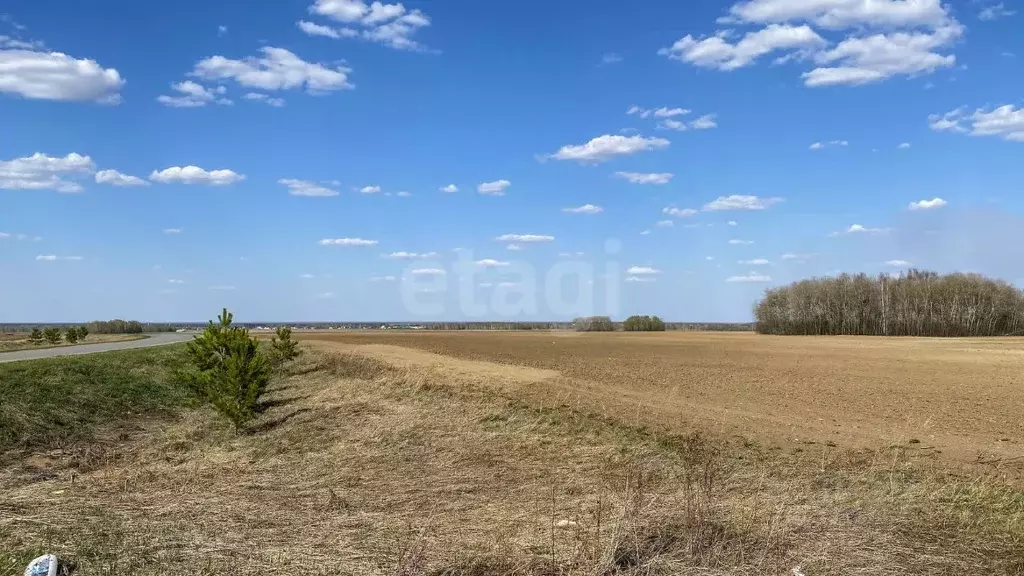 Участок в Тюменская область, Тюменский район, с. Луговое  (10.0 сот.) - Фото 0